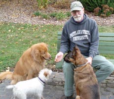 FeedDogs